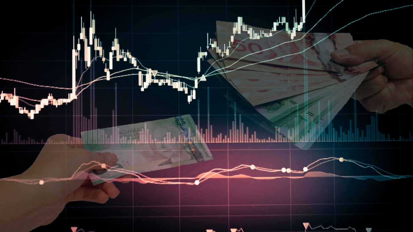 Fluctuations in exchange rates