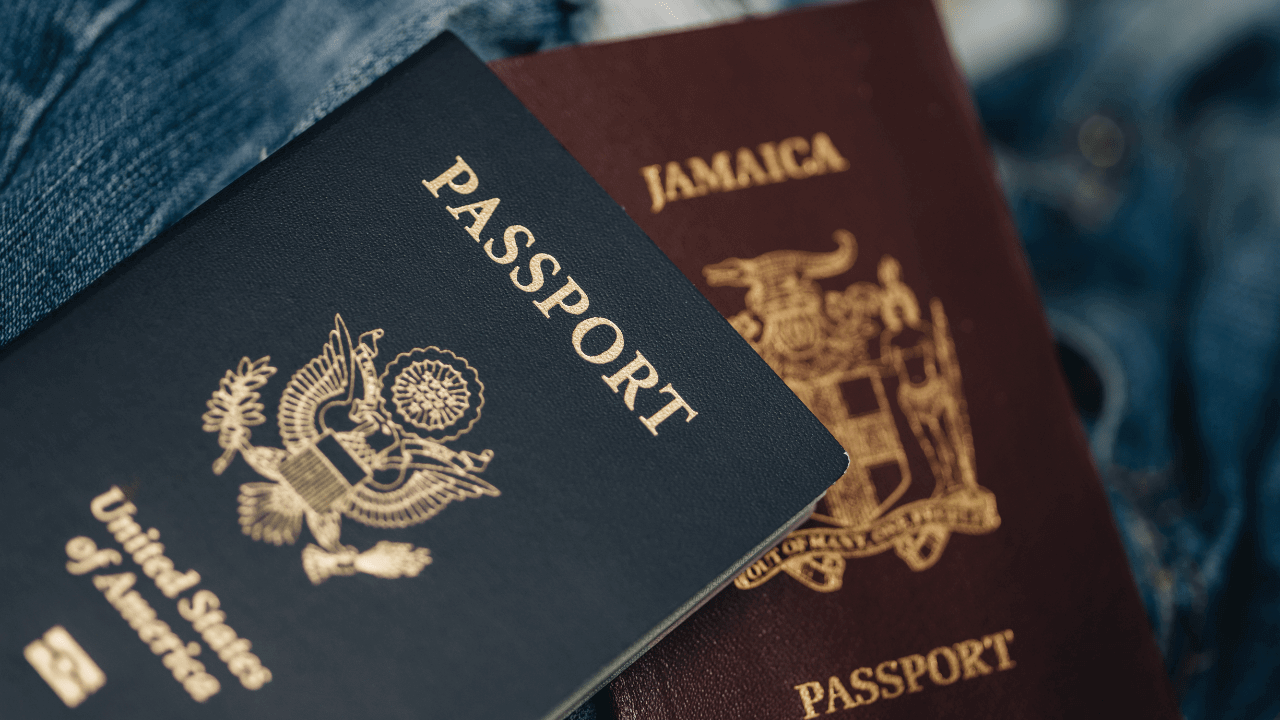 Pasaportlar ve Türleri